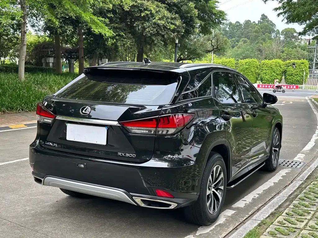 Lexus RX 2021 из CN, фото 3