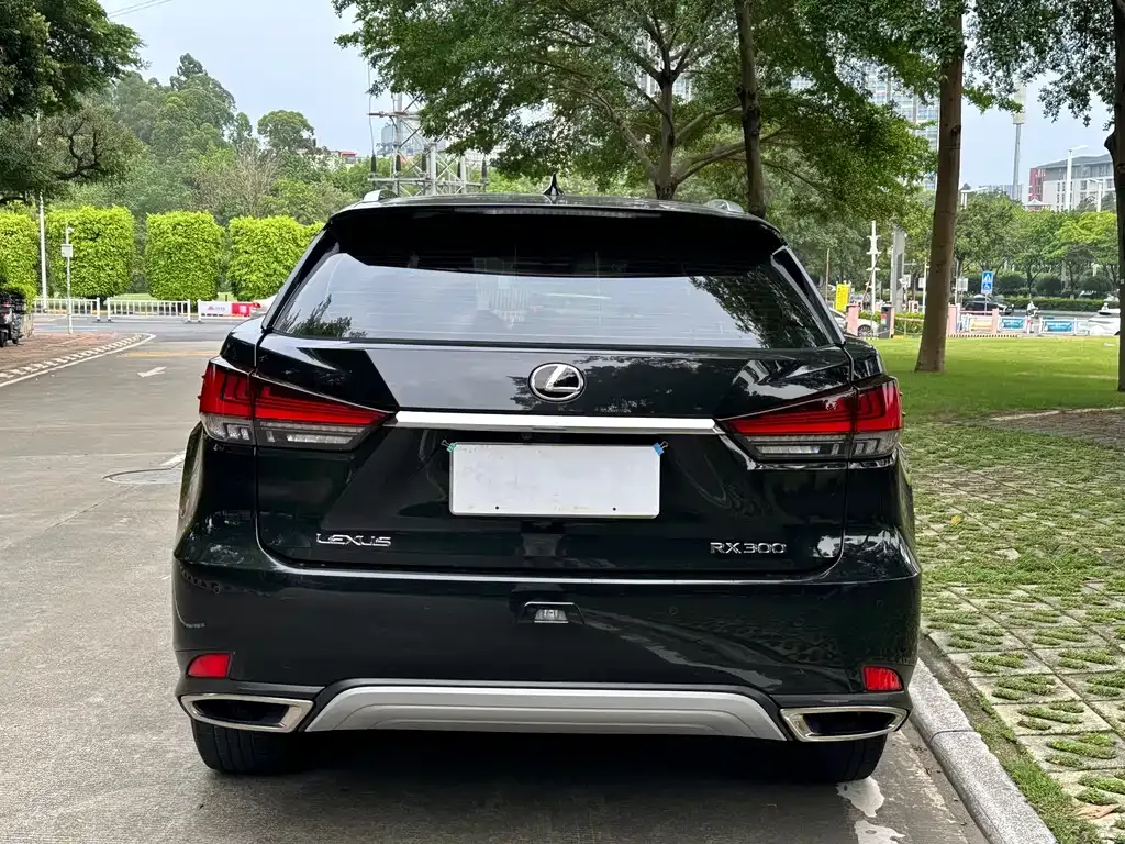 Lexus RX 2021 из CN, фото 9