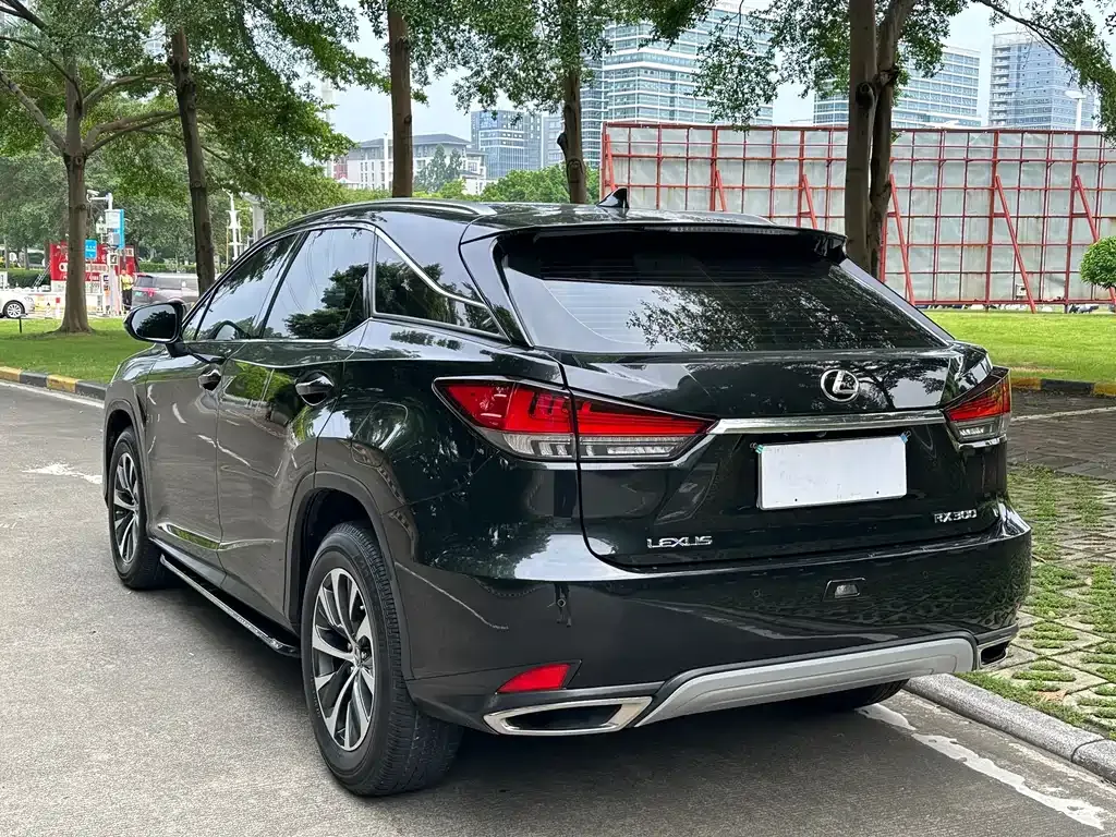 Lexus RX 2021 из CN, фото 4