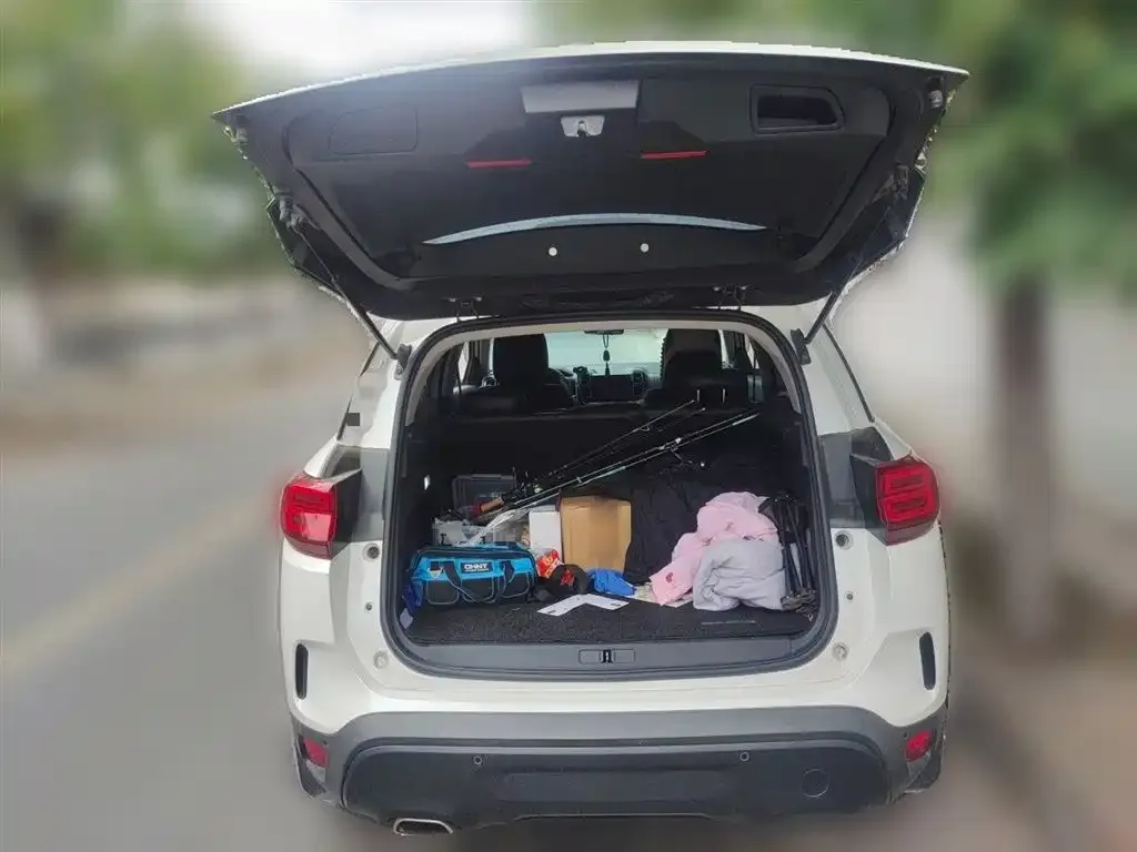 Citroen C5 AIRCROSS 2021 из CN, фото 2
