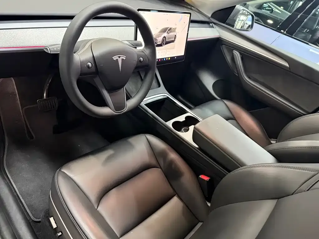 Tesla Model Y — фото 10