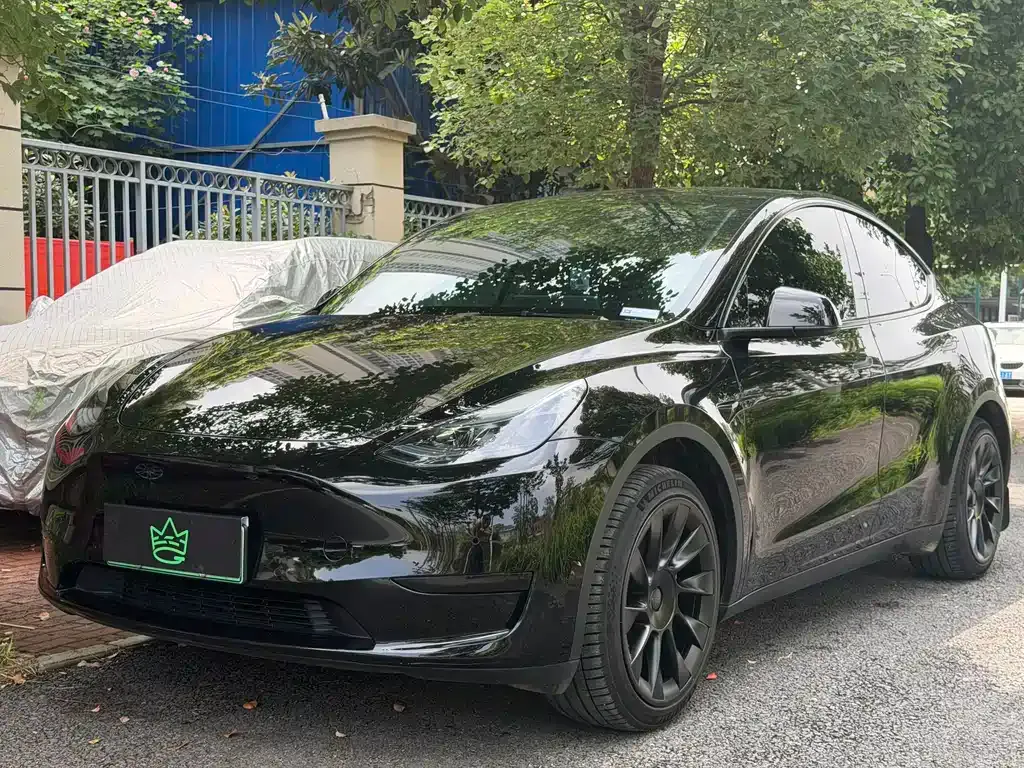 Tesla Model Y — фото 1