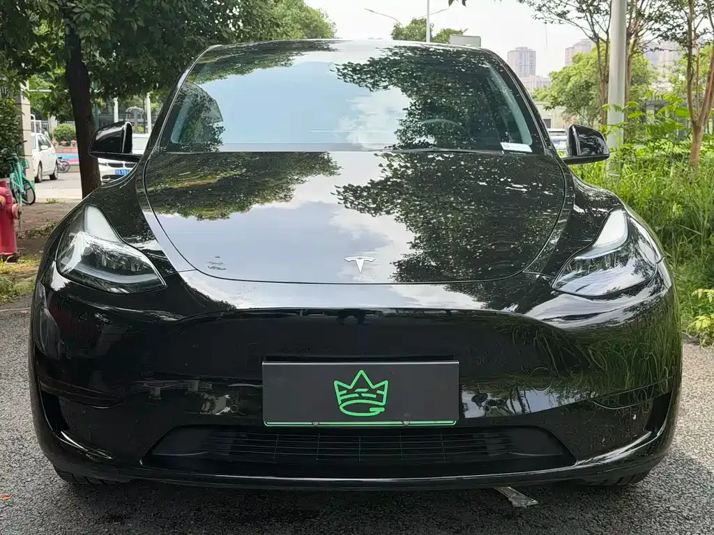 Tesla Model Y — фото 7