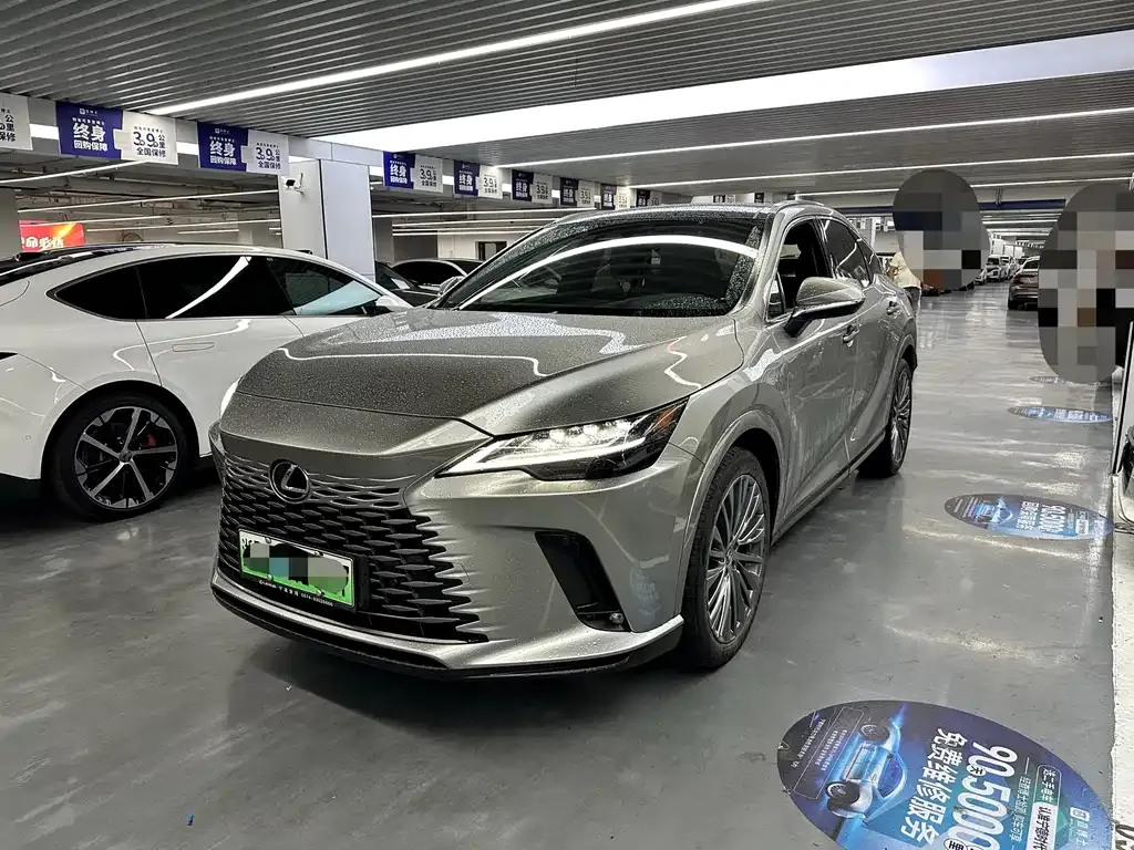Lexus RX New Energy