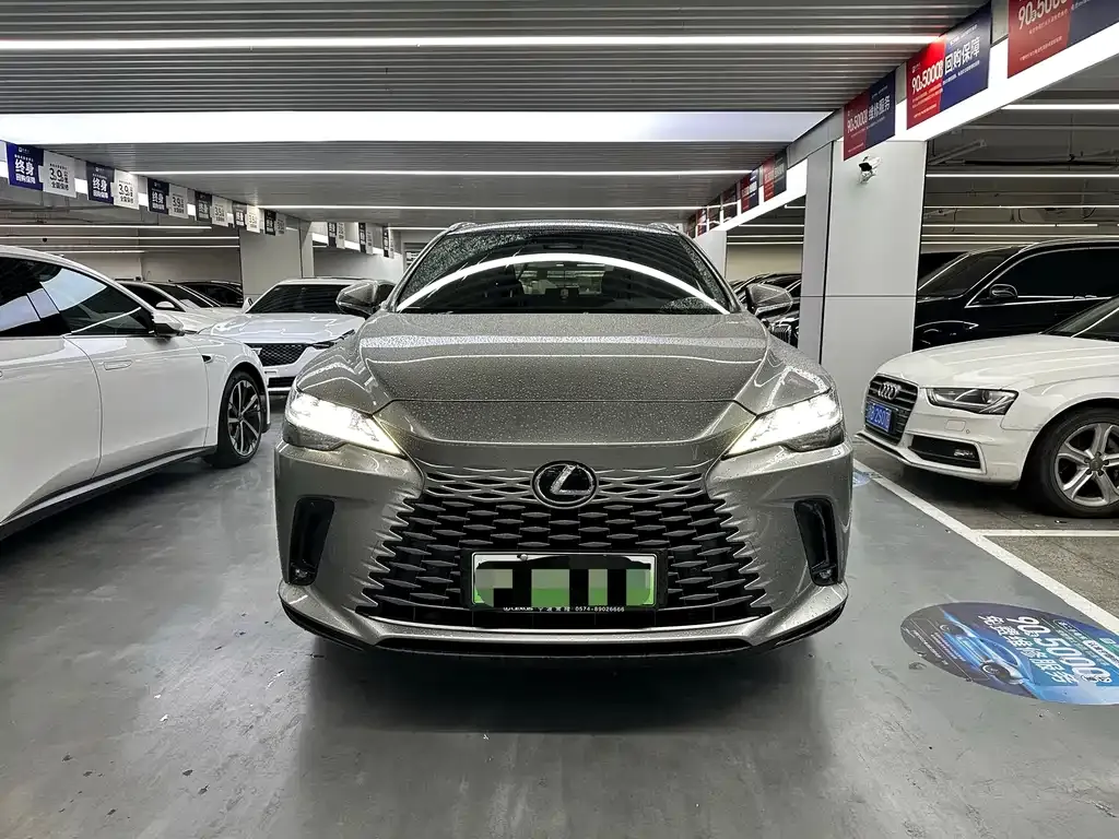 Lexus RX New Energy 2023 из CN, фото 4