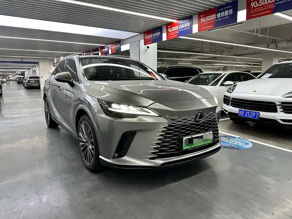 Lexus RX New Energy 2023 из CN, фото 8