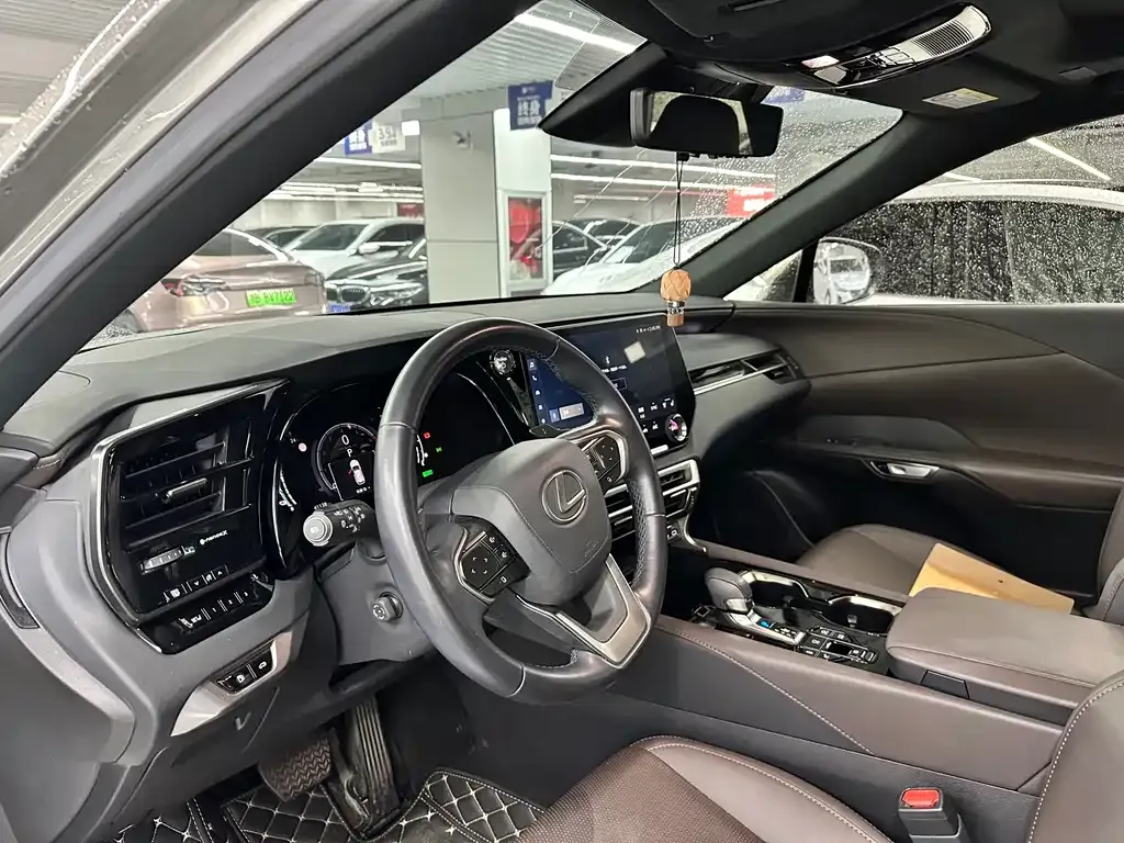 Lexus RX New Energy 2023 из CN, фото 10