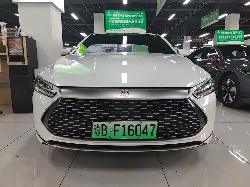 BYD Qin PLUS — фото 5