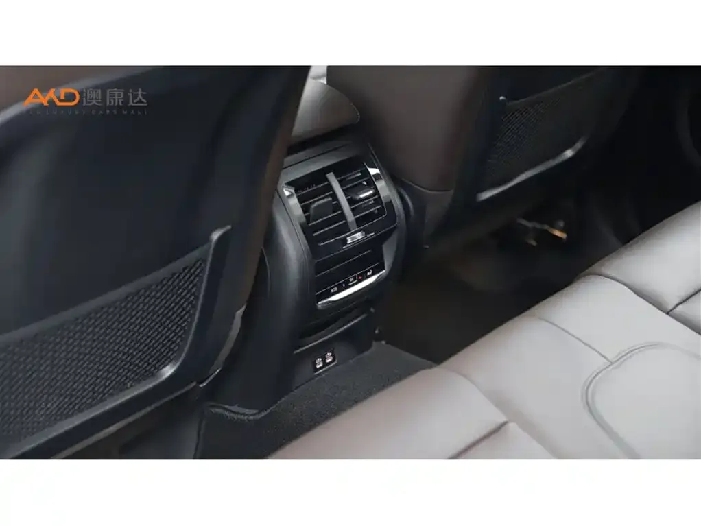 BMW X3 2021 из CN, фото 6
