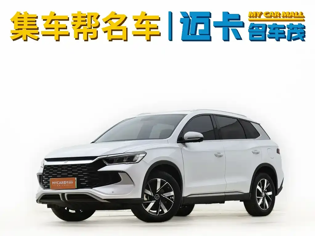 BYD Pro New Energy — фото 1