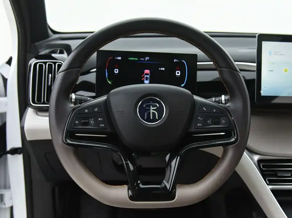 BYD Pro New Energy — фото 8