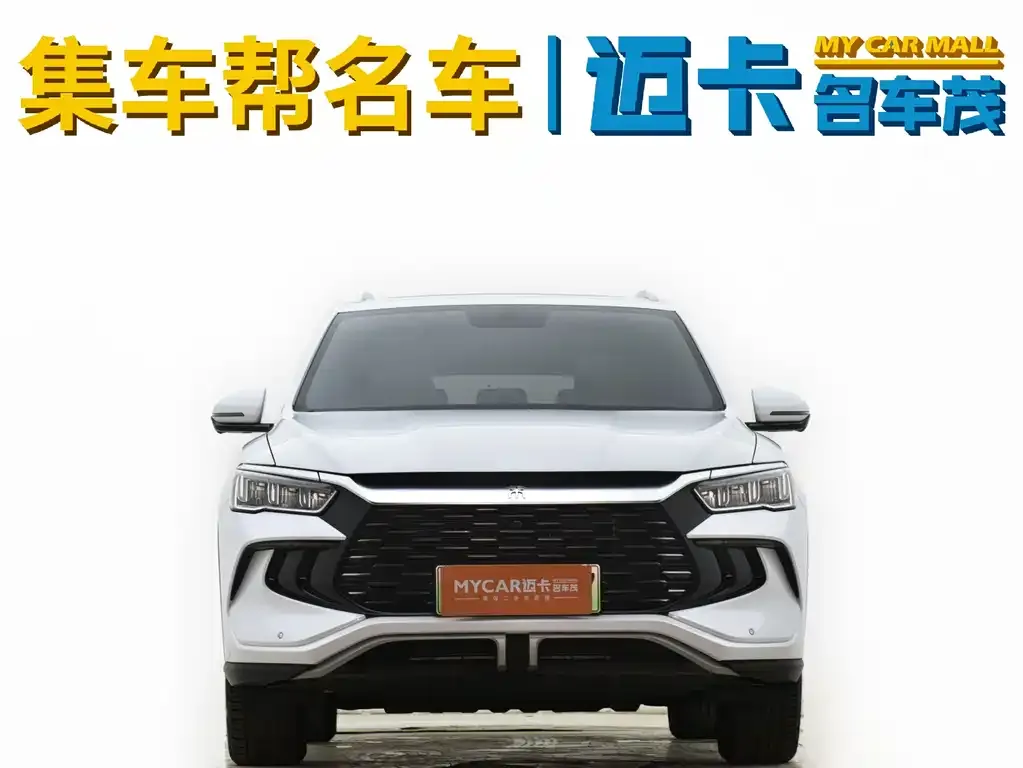 BYD Pro New Energy — фото 2