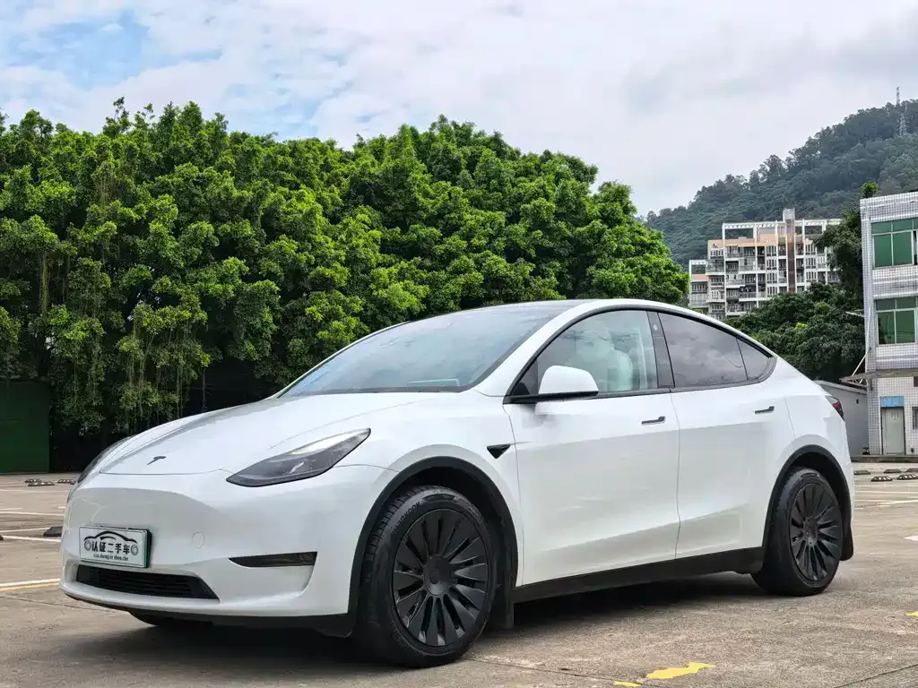 Tesla Model Y — фото 1