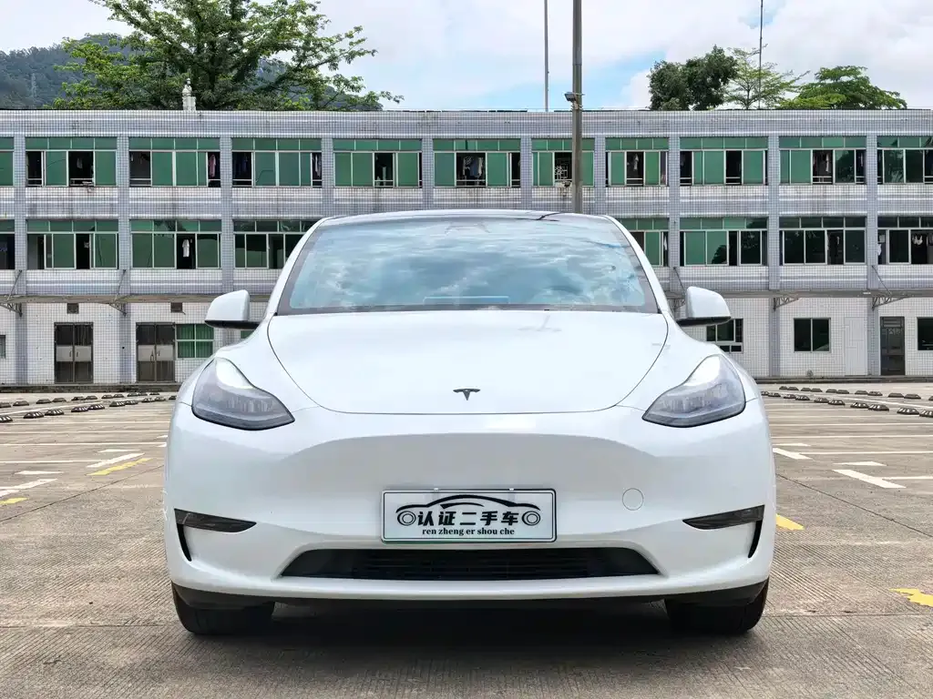 Tesla Model Y — фото 8