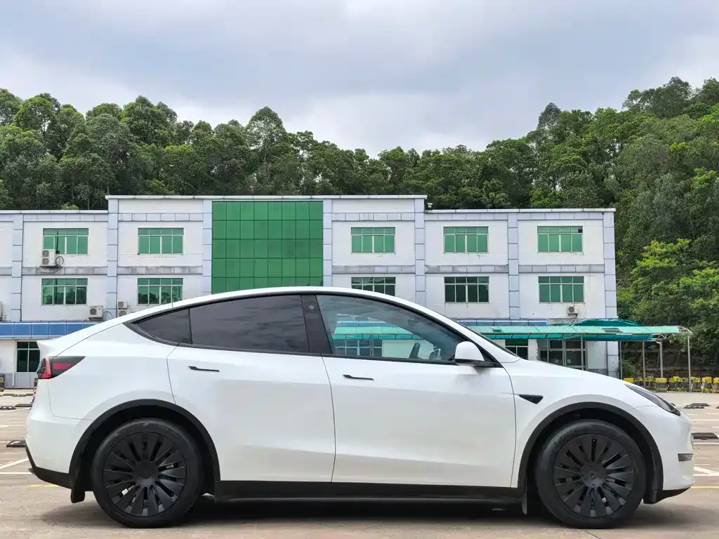 Tesla Model Y — фото 9
