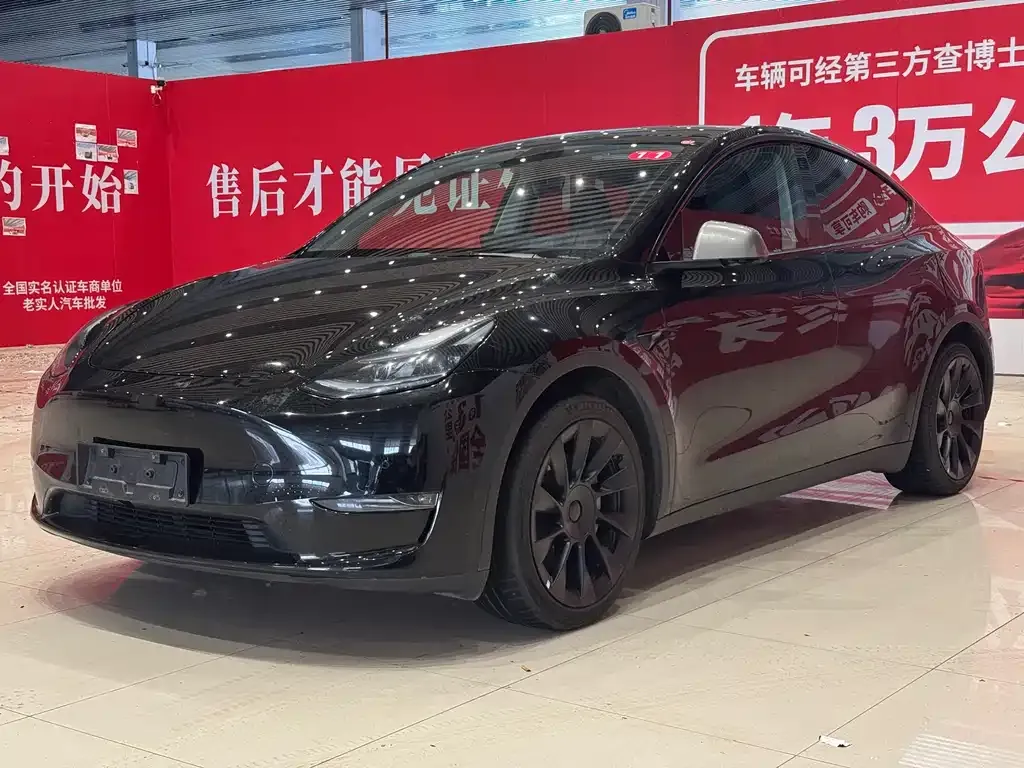 Tesla Model Y — фото 1