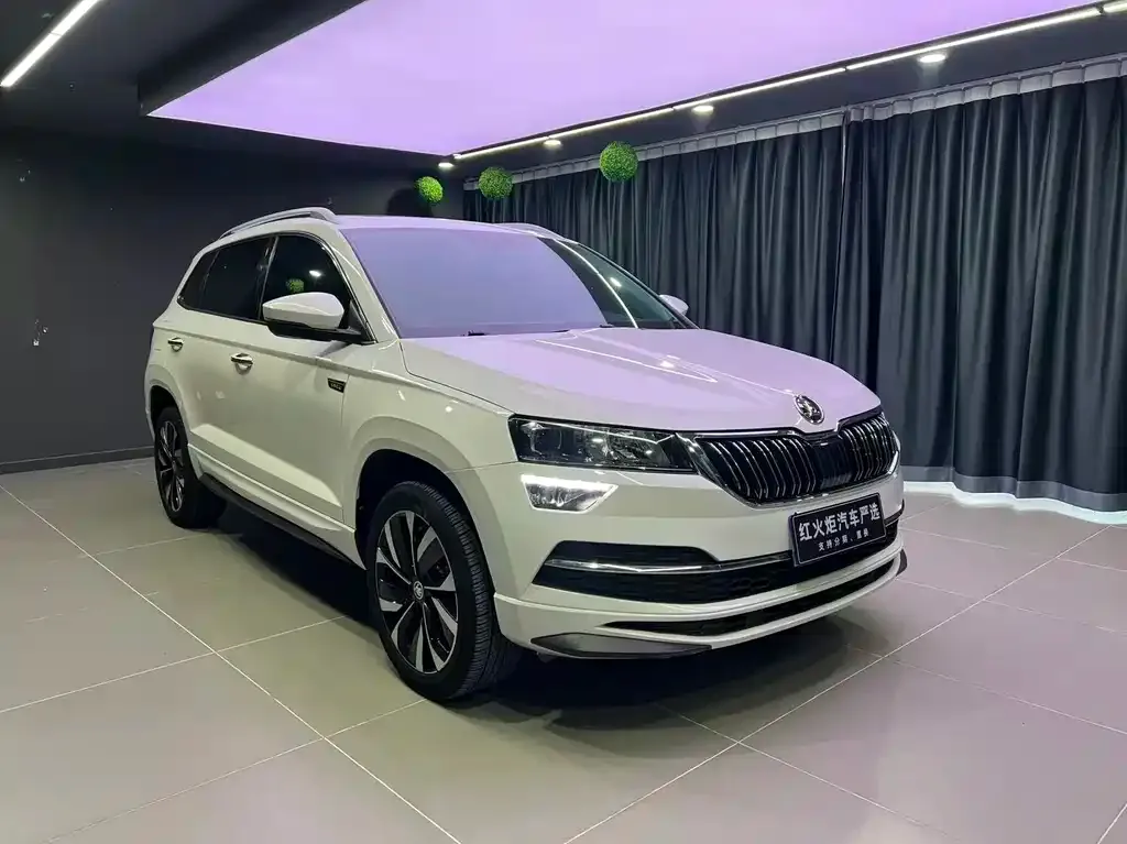 Skoda Karoq 2022 из CN, фото 5