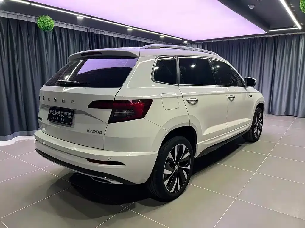 Skoda Karoq 2022 из CN, фото 9