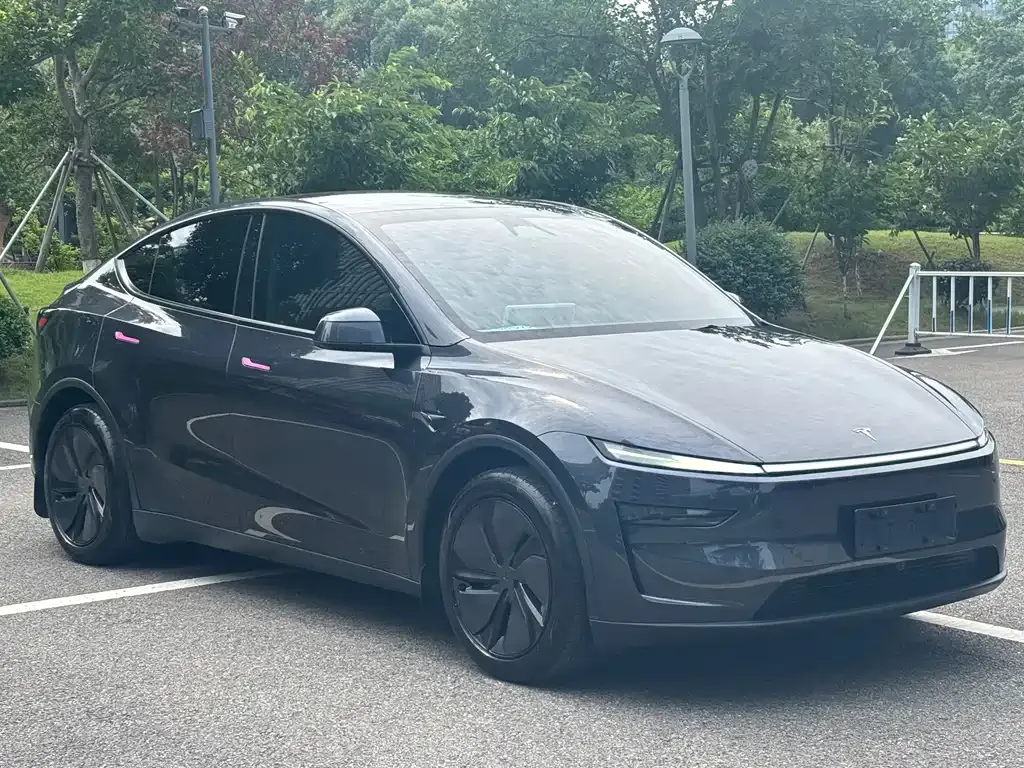 Tesla Model Y — фото 5