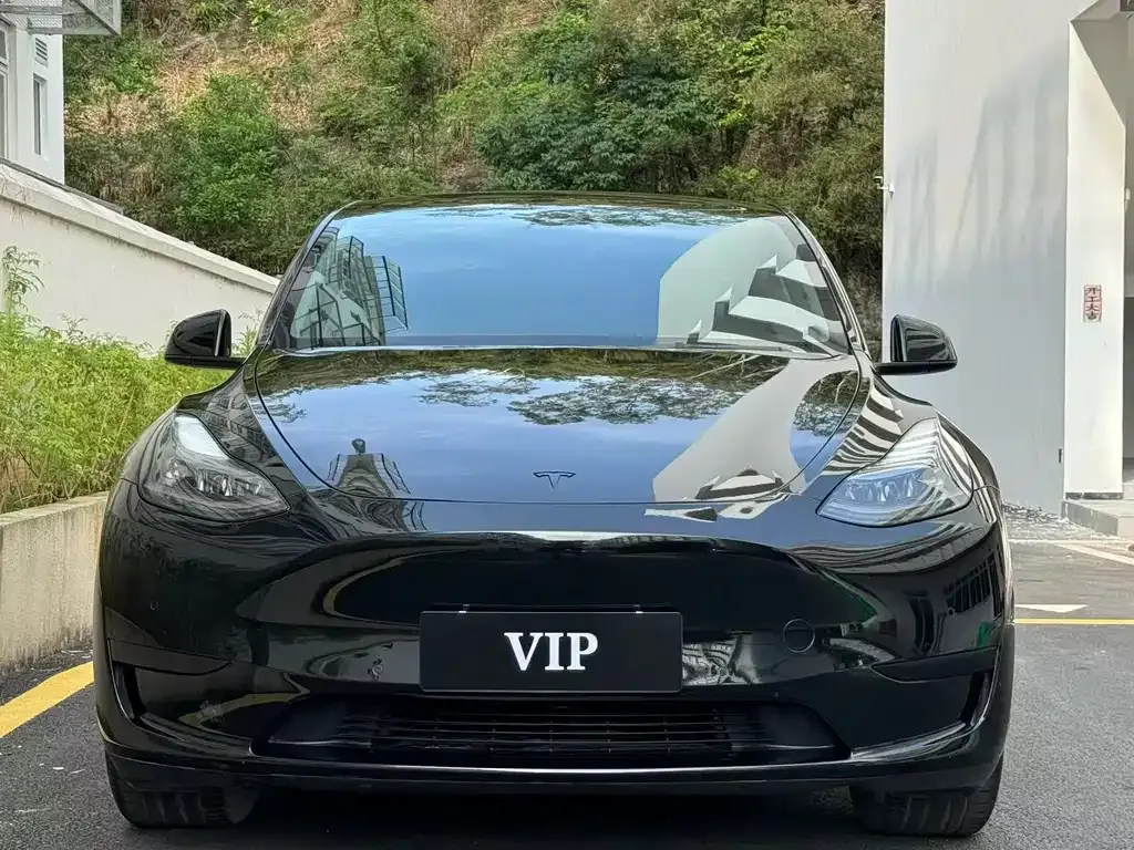 Tesla Model Y — фото 6