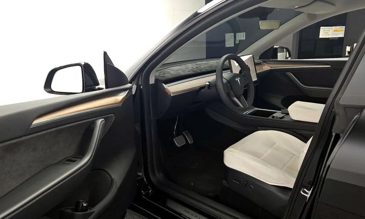 Tesla Model Y — фото 10