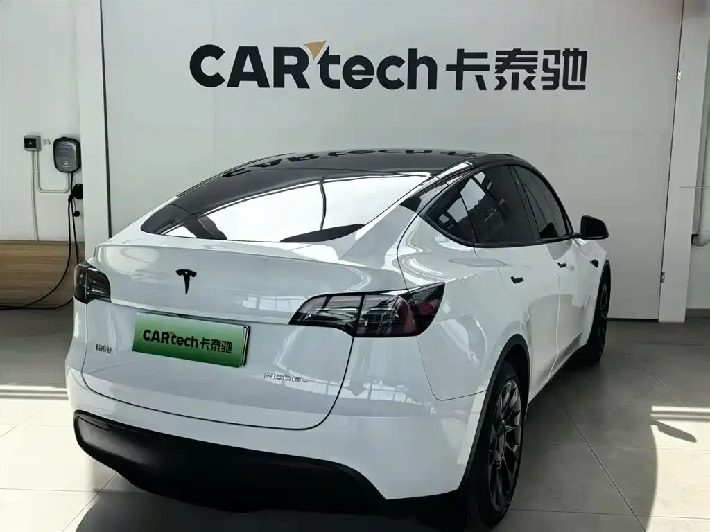Tesla Model Y — фото 9