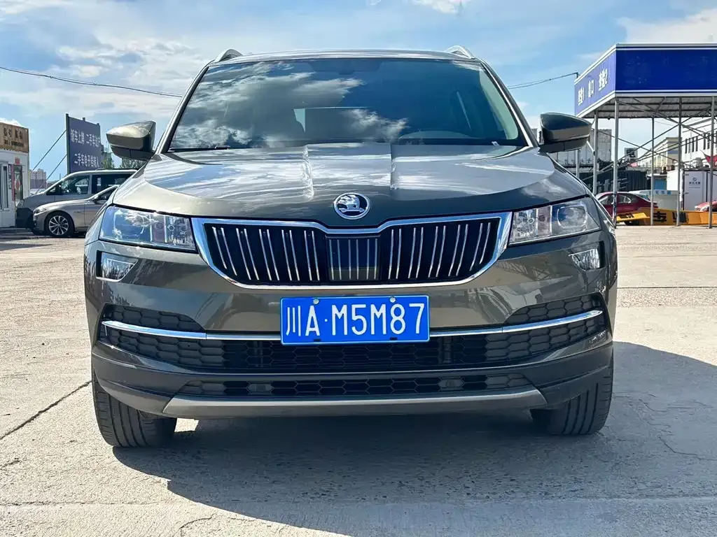 Skoda Karoq 2021 из CN, фото 3