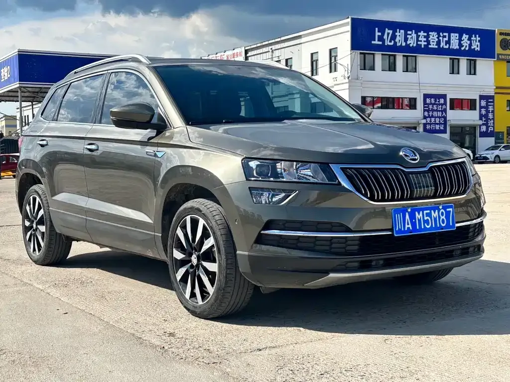 Skoda Karoq 2021 из CN, фото 7