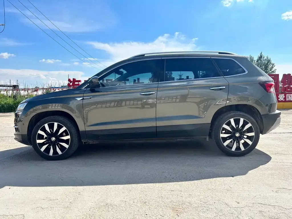 Skoda Karoq 2021 из CN, фото 6