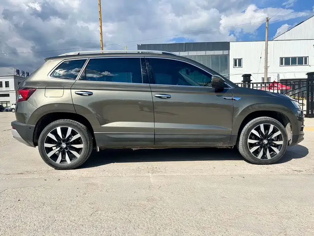 Skoda Karoq 2021 из CN, фото 10