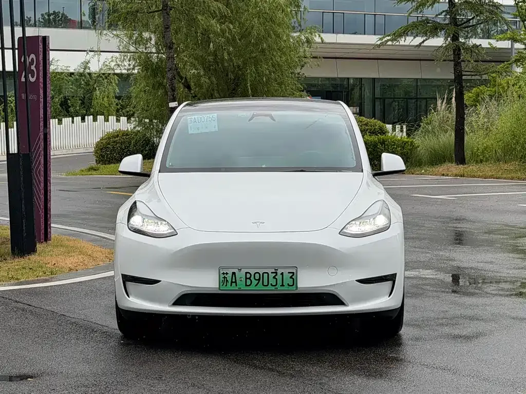 Tesla Model Y — фото 5
