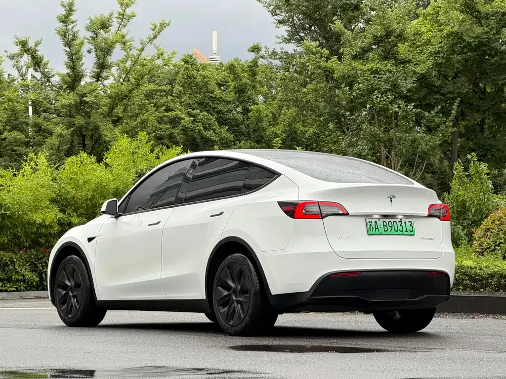 Tesla Model Y — фото 9