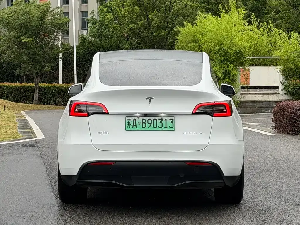 Tesla Model Y — фото 10