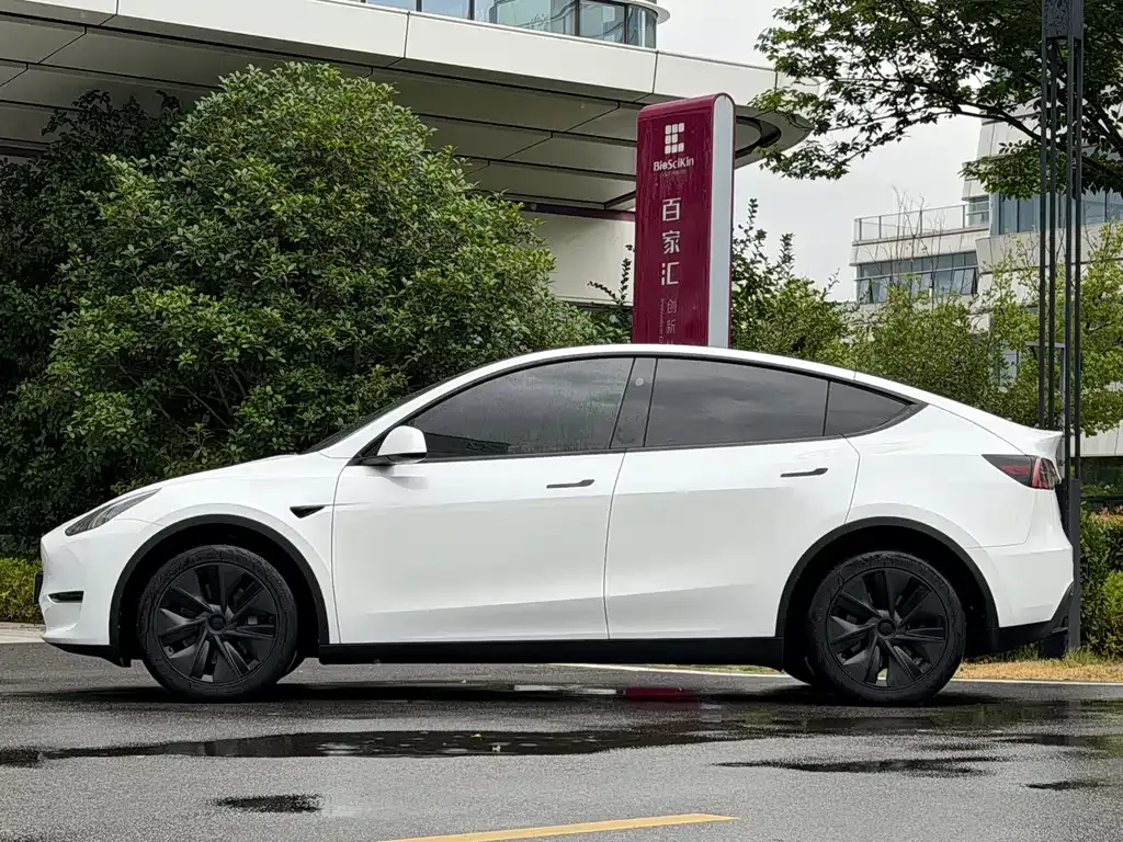Tesla Model Y — фото 8
