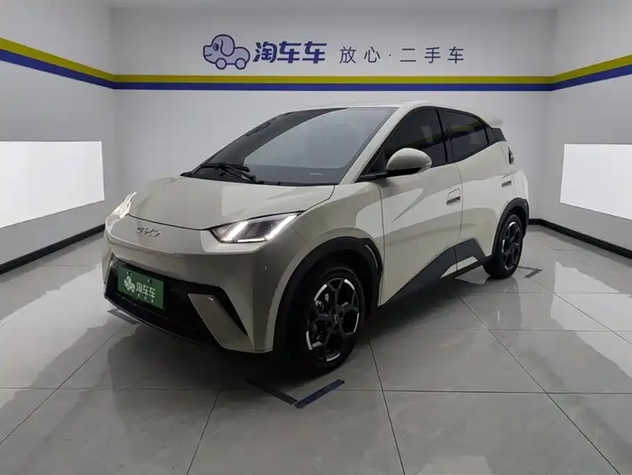 BYD Seagull