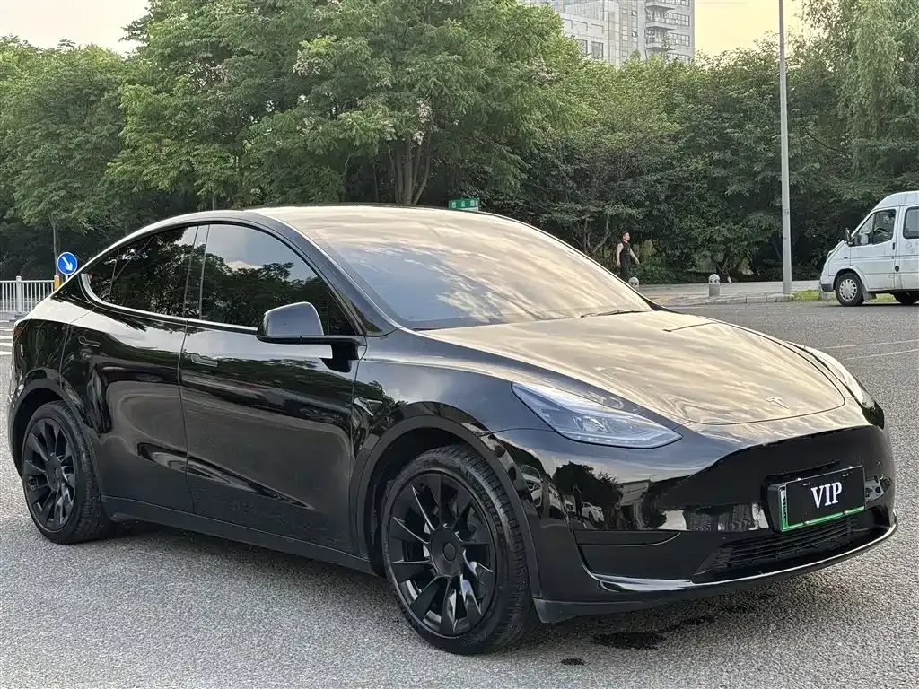 Tesla Model Y — фото 6