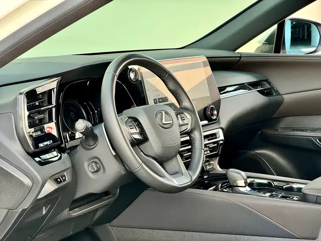 Lexus RX — фото 9