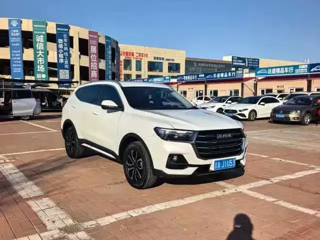 Haval H6 2022 из CN, фото 6
