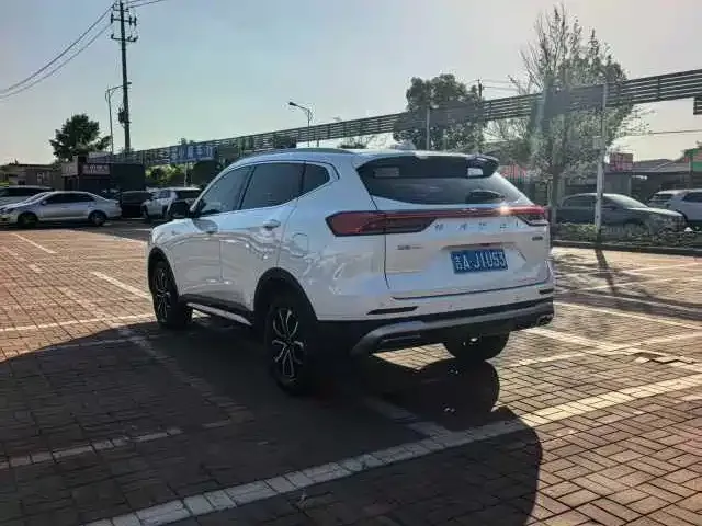 Haval H6 2022 из CN, фото 2