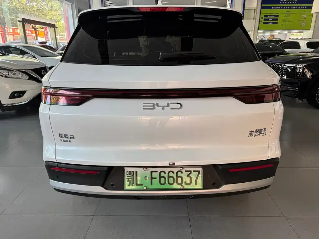 BYD Pro New Energy — фото 6