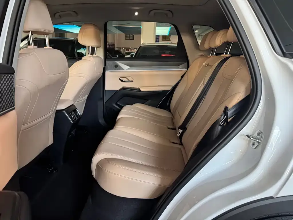 BYD Pro New Energy — фото 3