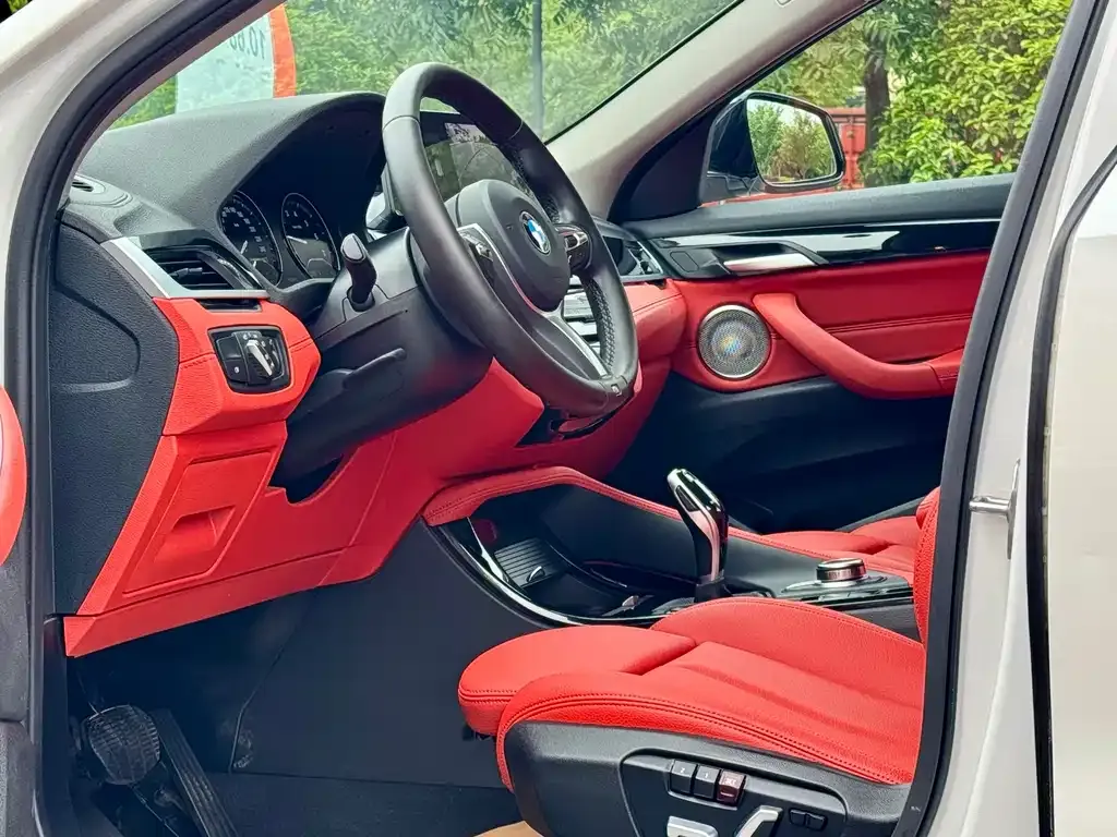 BMW X2 2021 из CN, фото 4