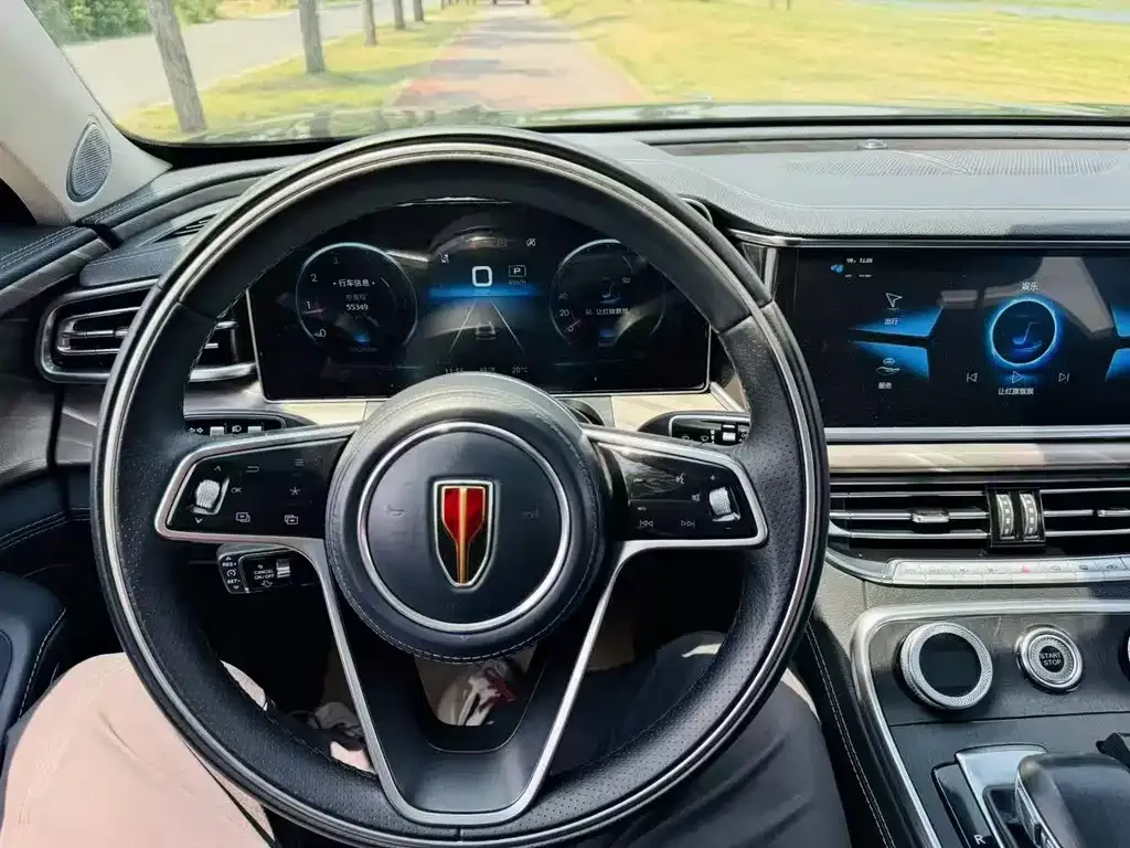 Hongqi H9 2022 из CN, фото 7