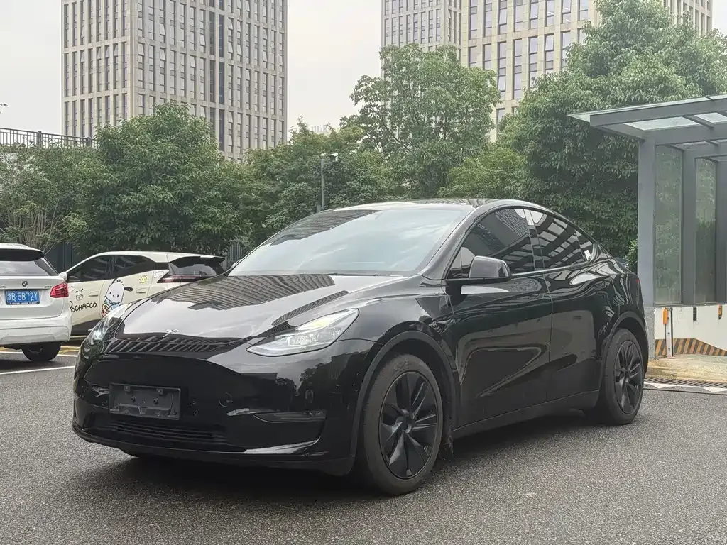 Tesla Model Y — фото 1