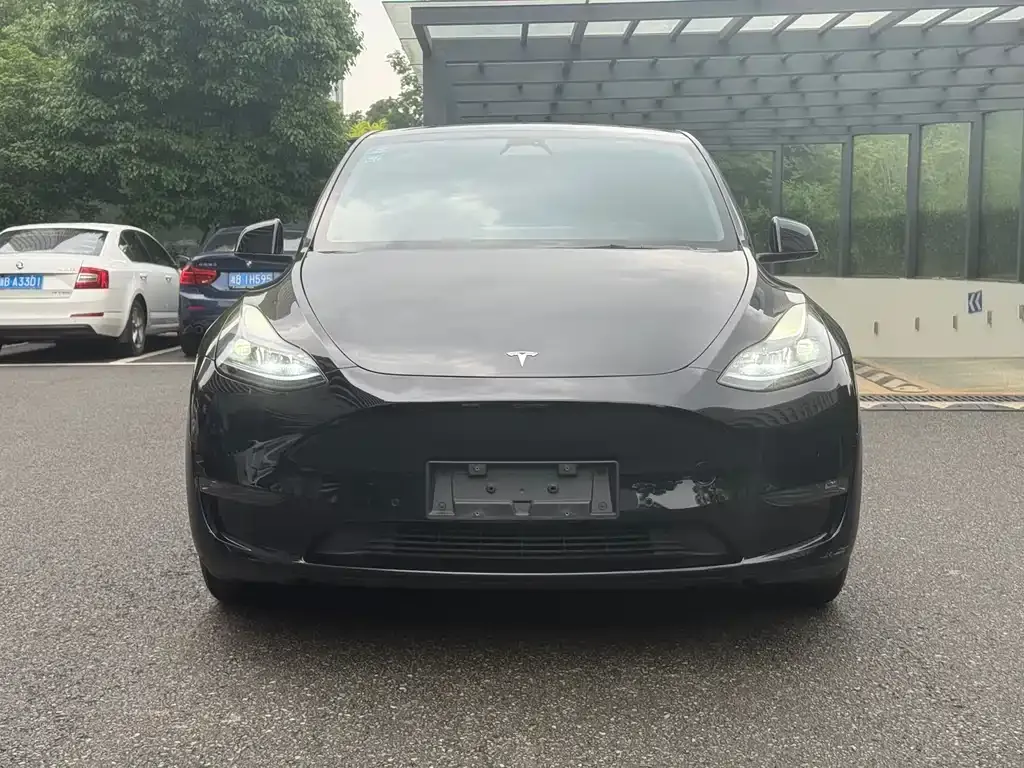 Tesla Model Y — фото 7