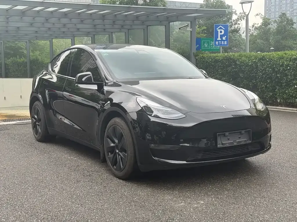 Tesla Model Y — фото 10