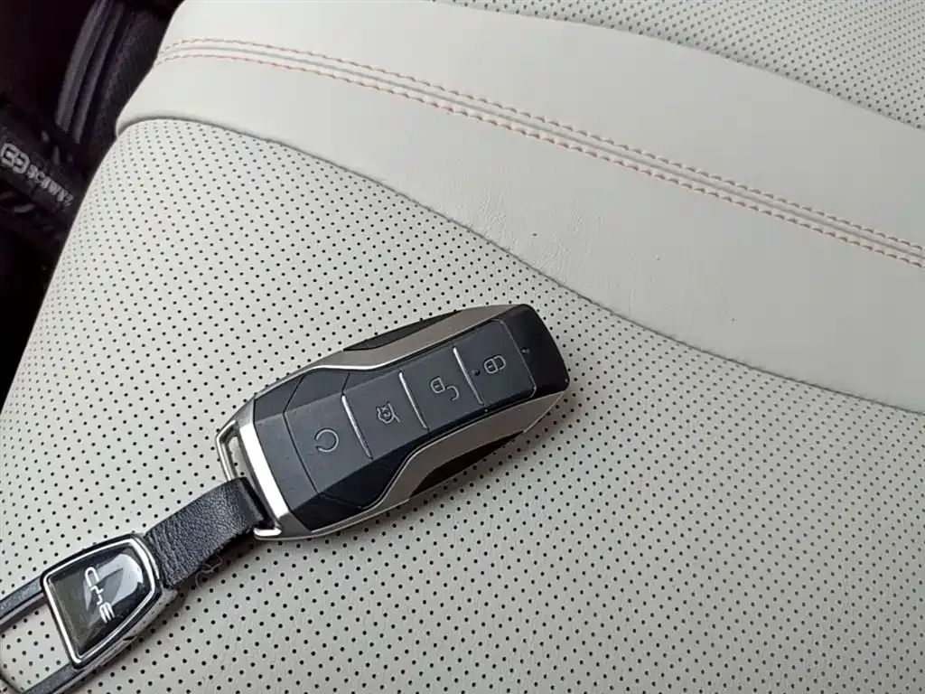 BYD PLUS New Energy — фото 4