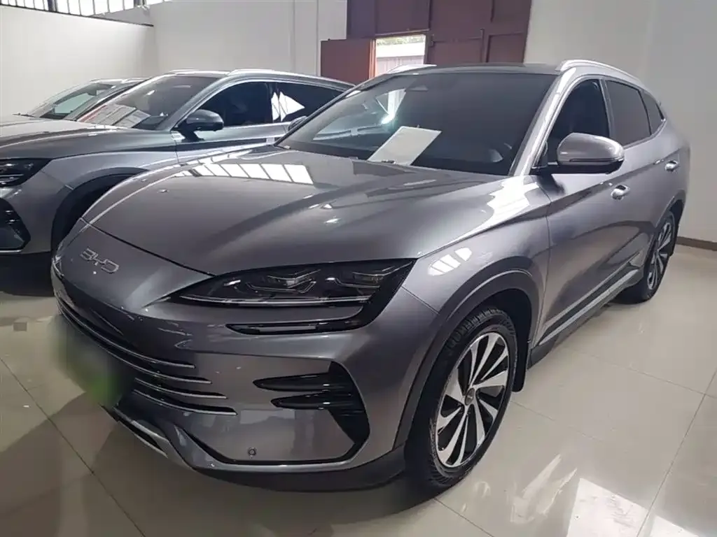 BYD PLUS New Energy — фото 4