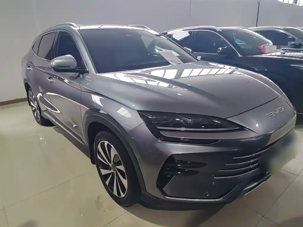 BYD PLUS New Energy — фото 2