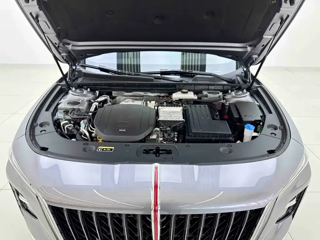 Hongqi H5 PHEV 2025 из CN, фото 4